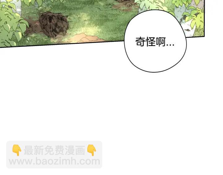 第21话 木香的源头4