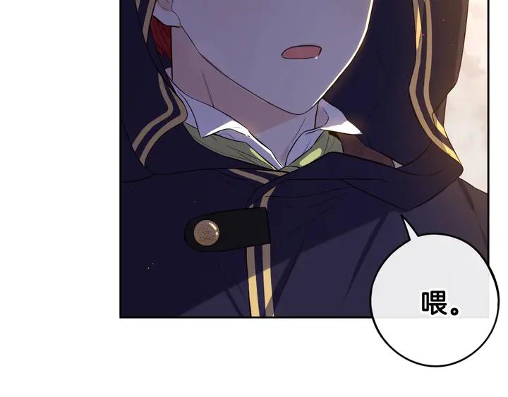 第30话 帅是治愈灵药！120