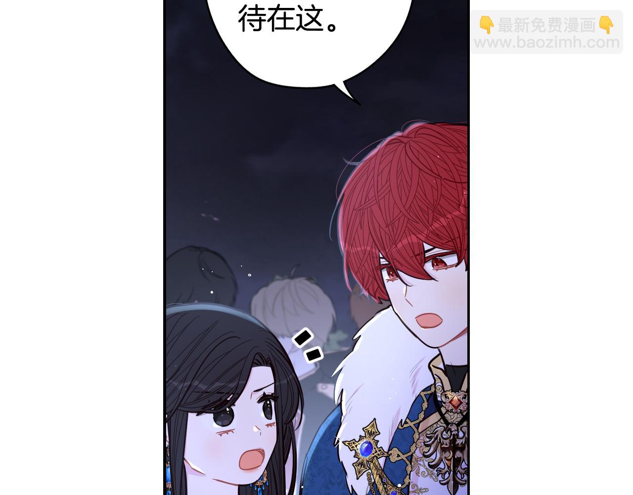 第101话 公主入敌营12