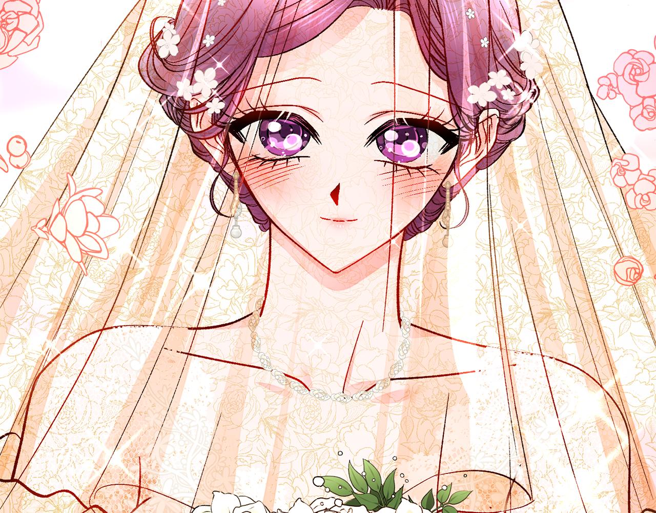 完结篇 结婚170