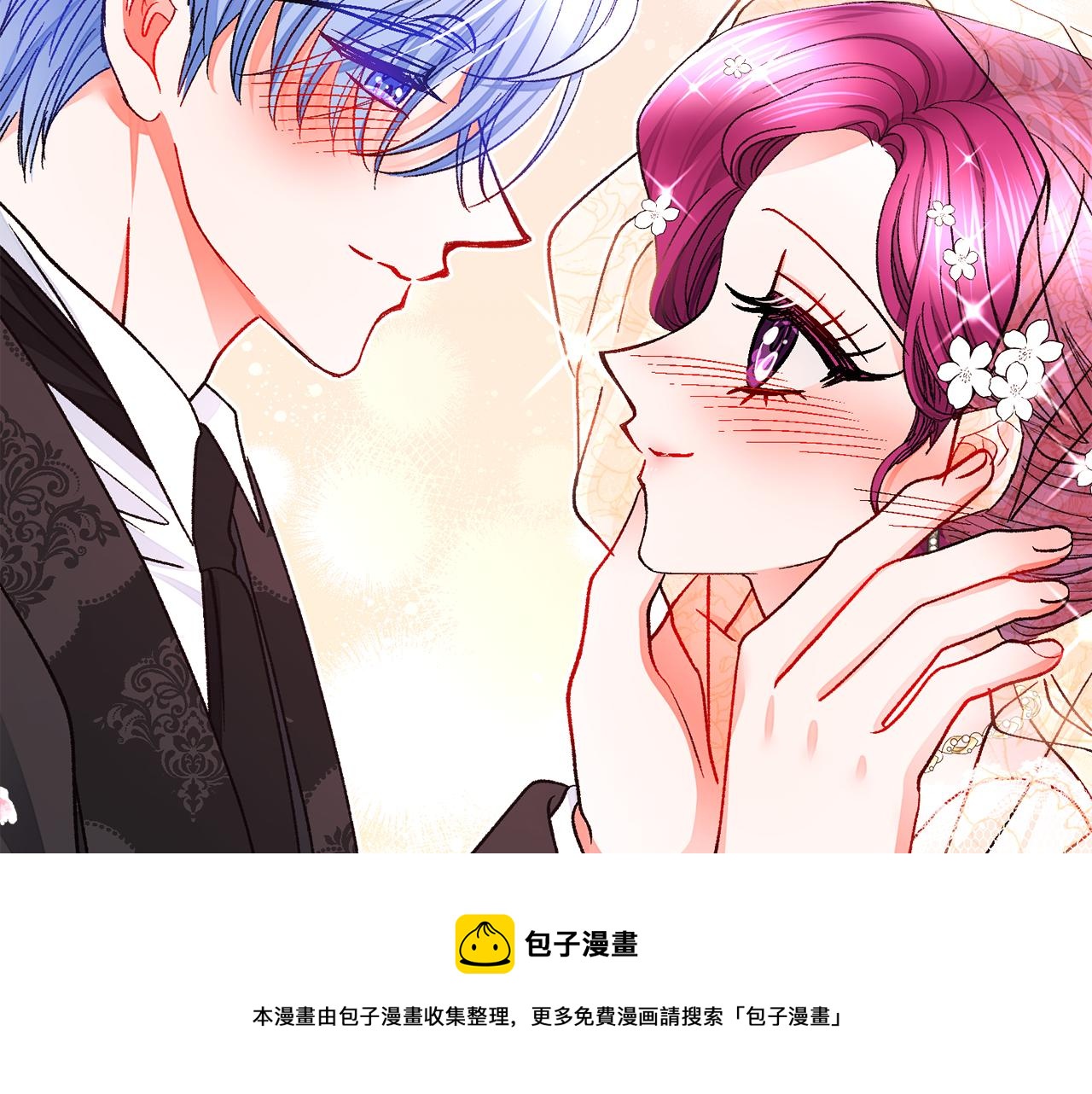 完结篇 结婚216