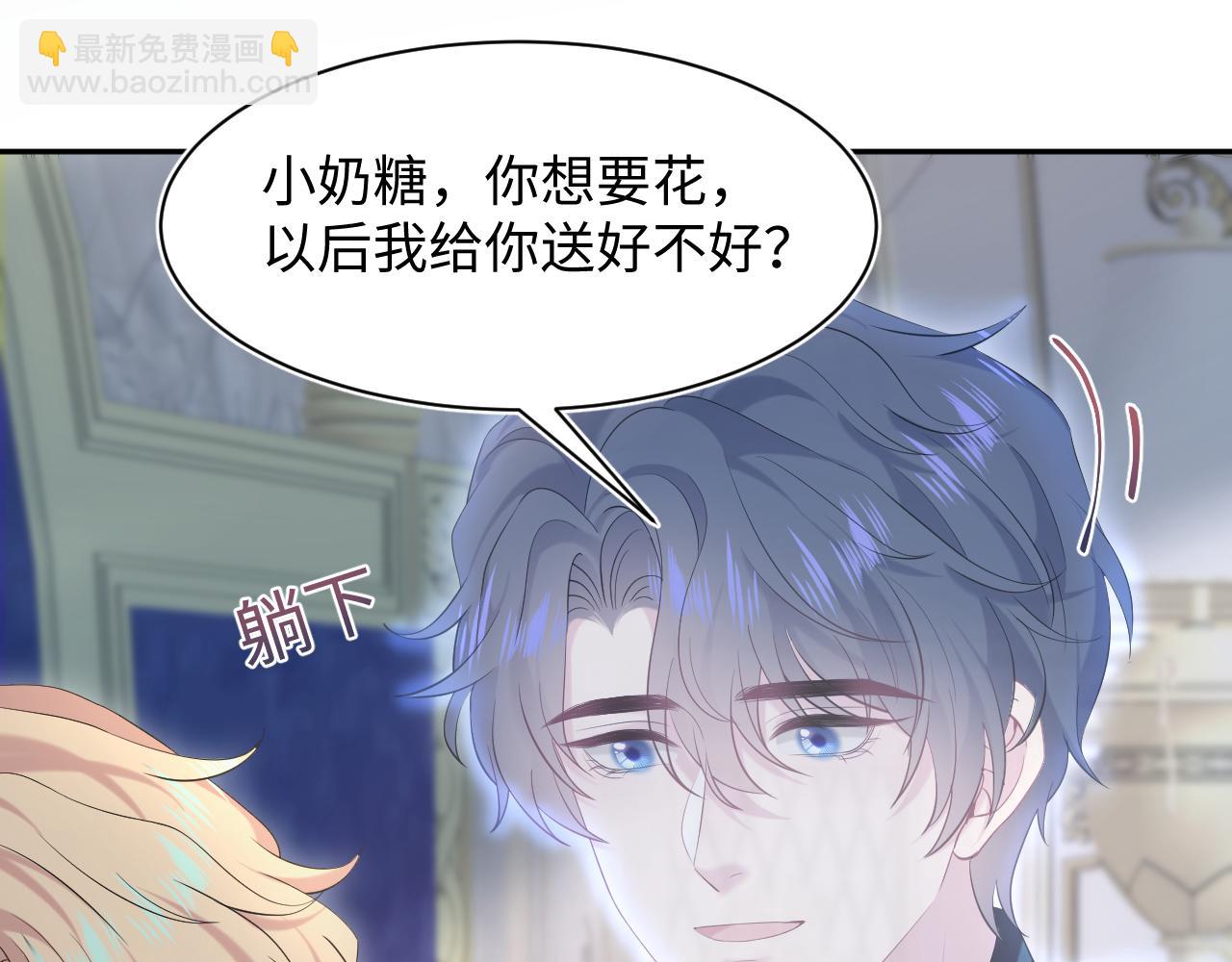 226精灵骑士的追求88