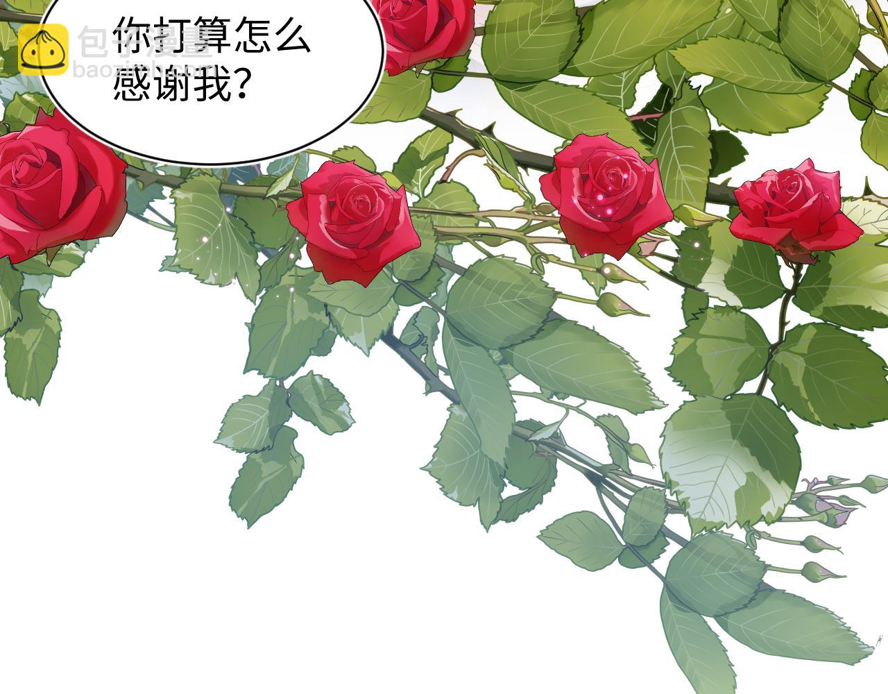 233花园里没人看见40