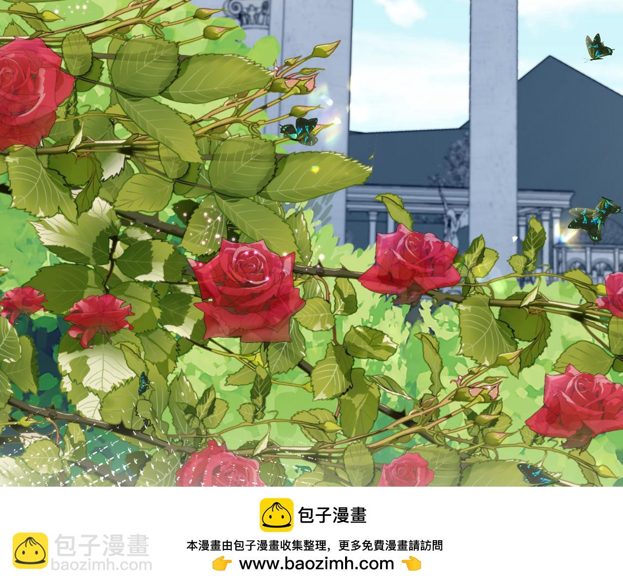233花园里没人看见53