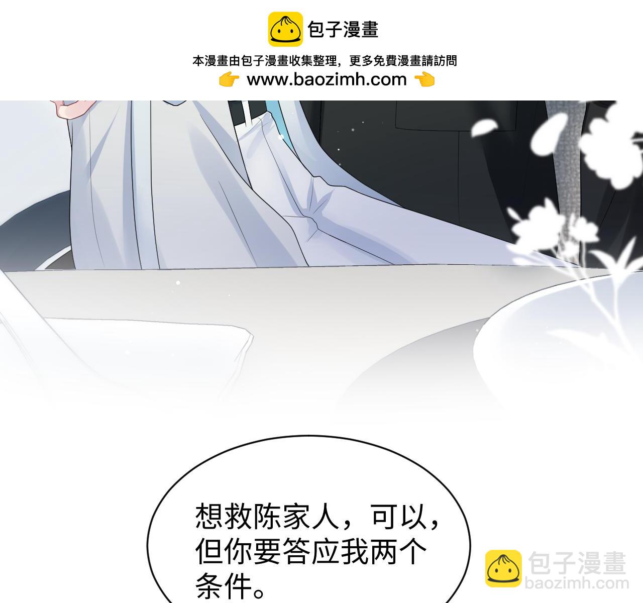 249 金丝雀想住金鸟笼80
