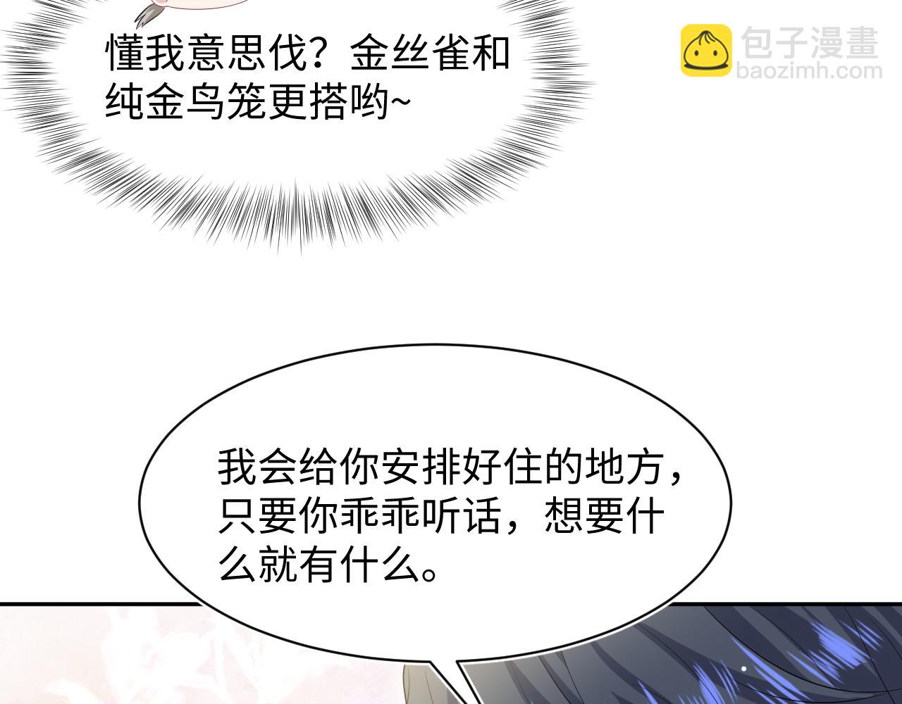 249 金丝雀想住金鸟笼84