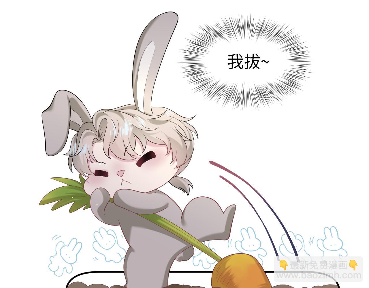 288 我只是路过的6