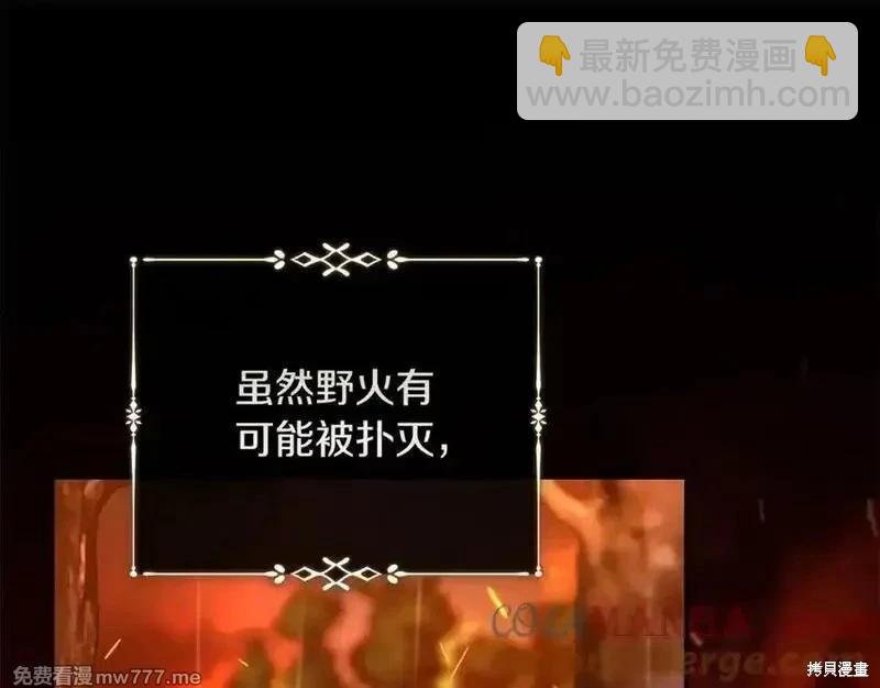 第217话120