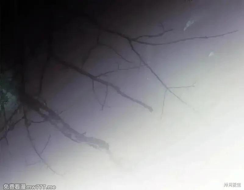第217话174
