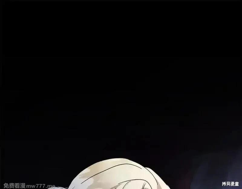 第217话30