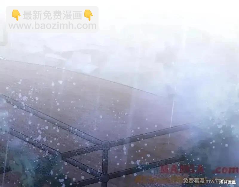 第217话4