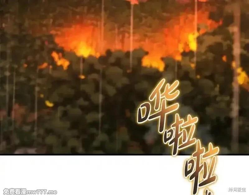 第217话67