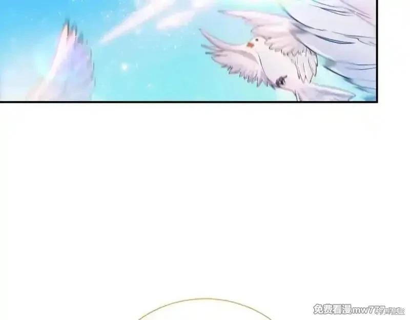 第228话5