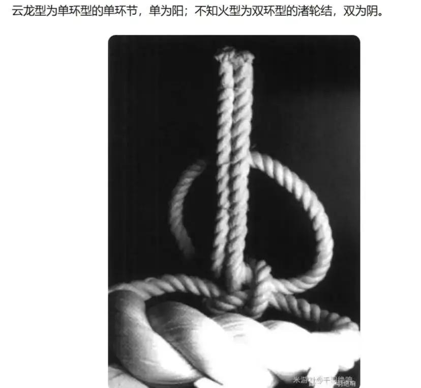 第237话22