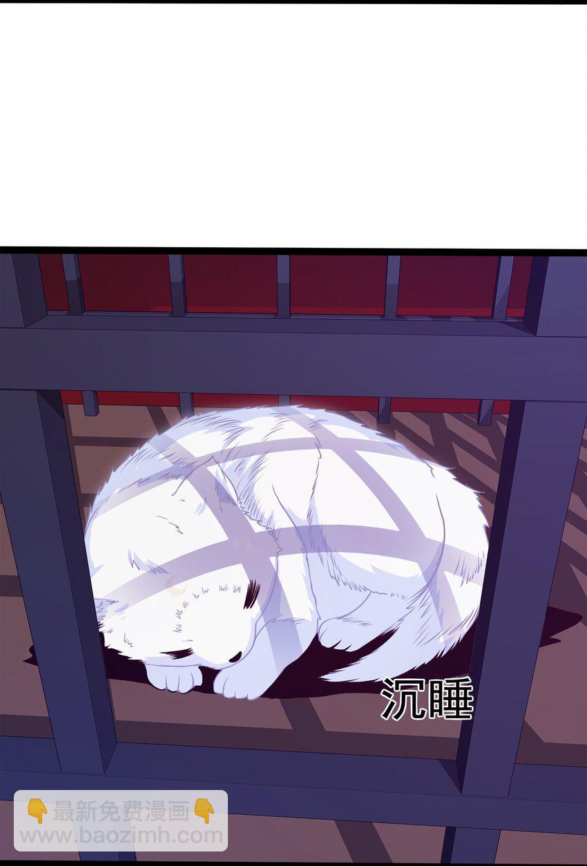036 月狼王幼崽16