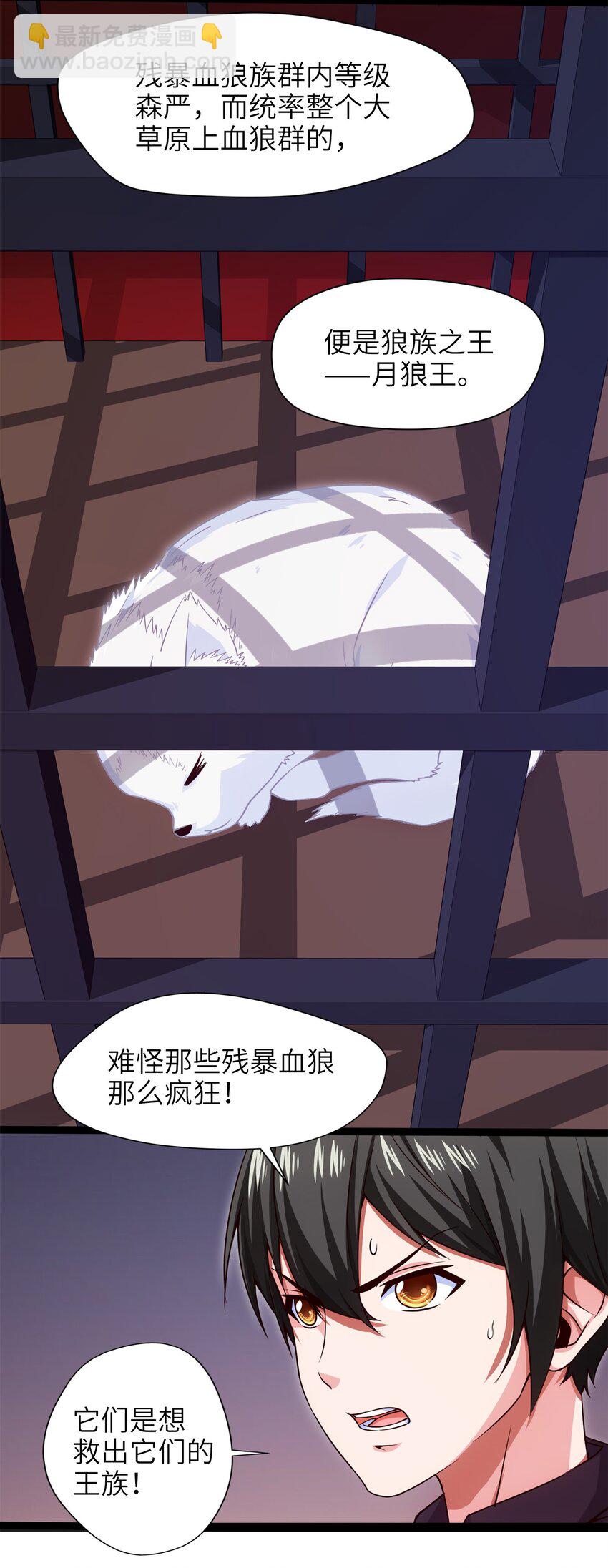 036 月狼王幼崽21