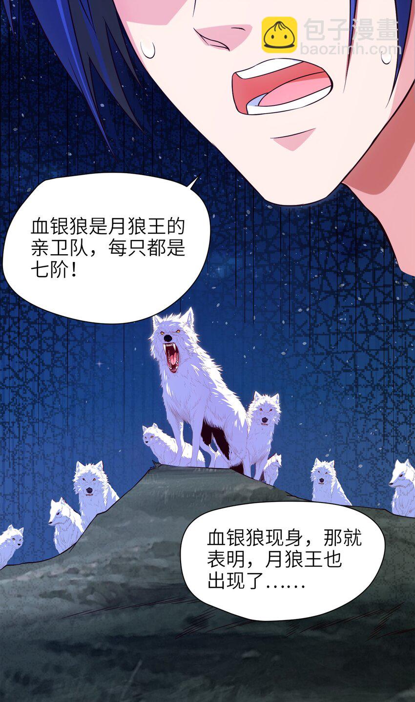 036 月狼王幼崽34