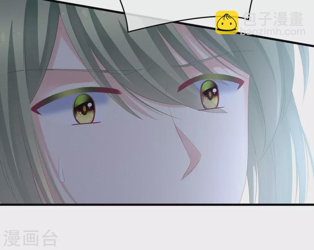 第199话 宁王夫要换人？39