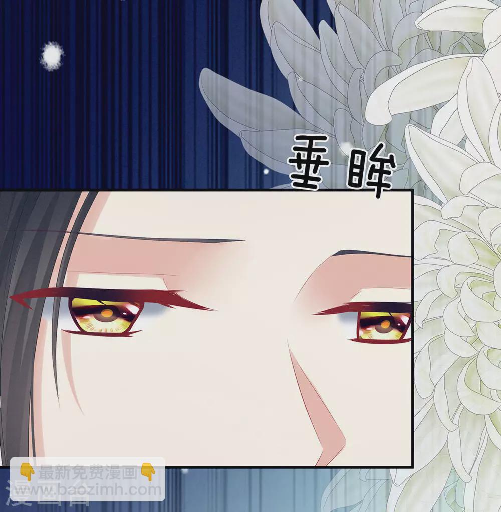 第205话 她不是我的妻主6