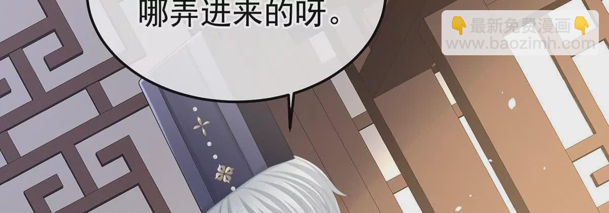 第二季22 月凉人的守宫砂123
