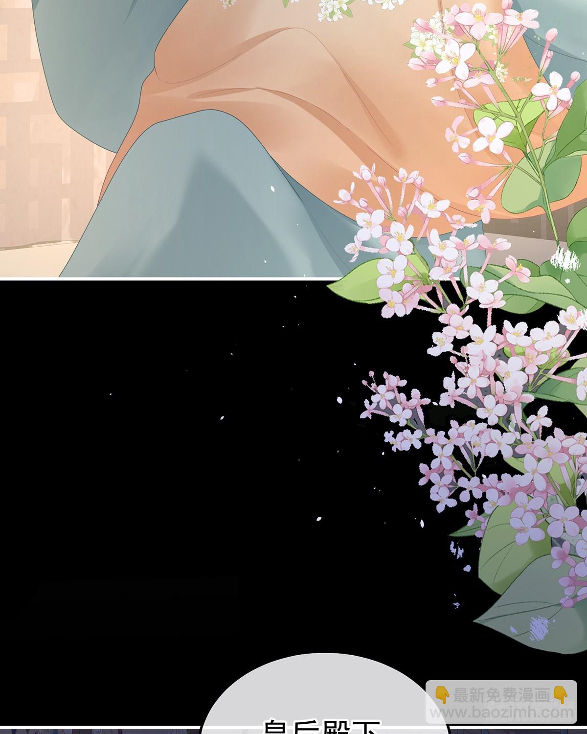 白发4