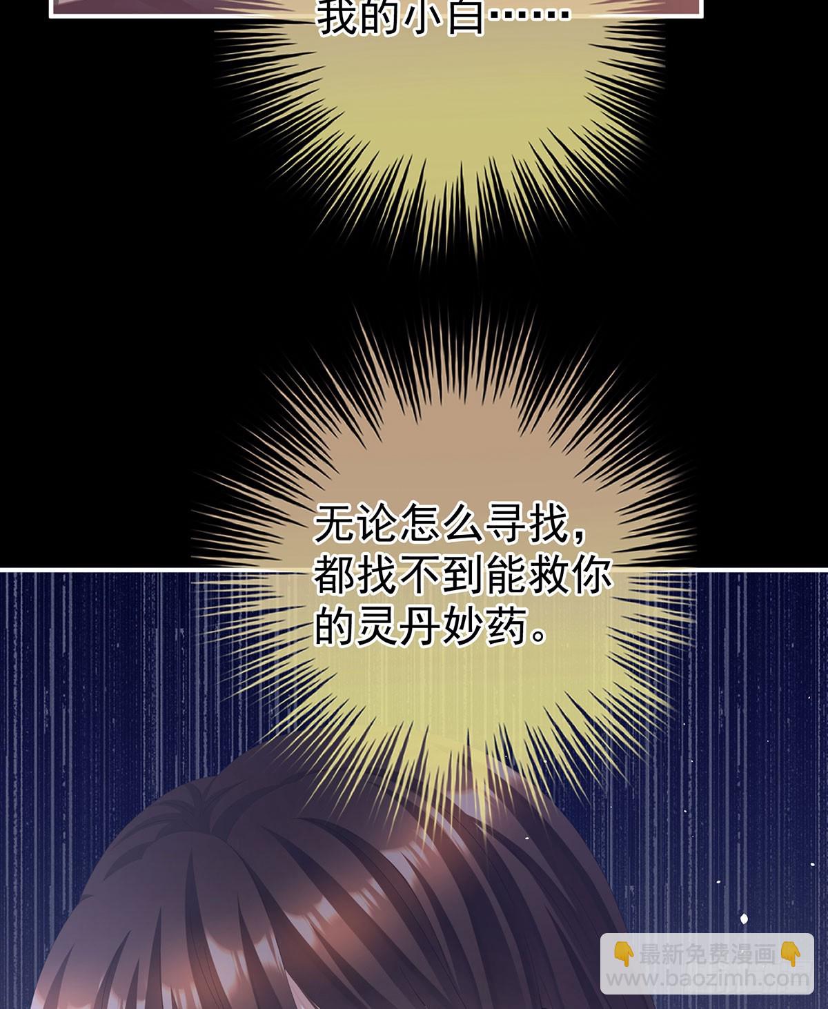心向高墙外5