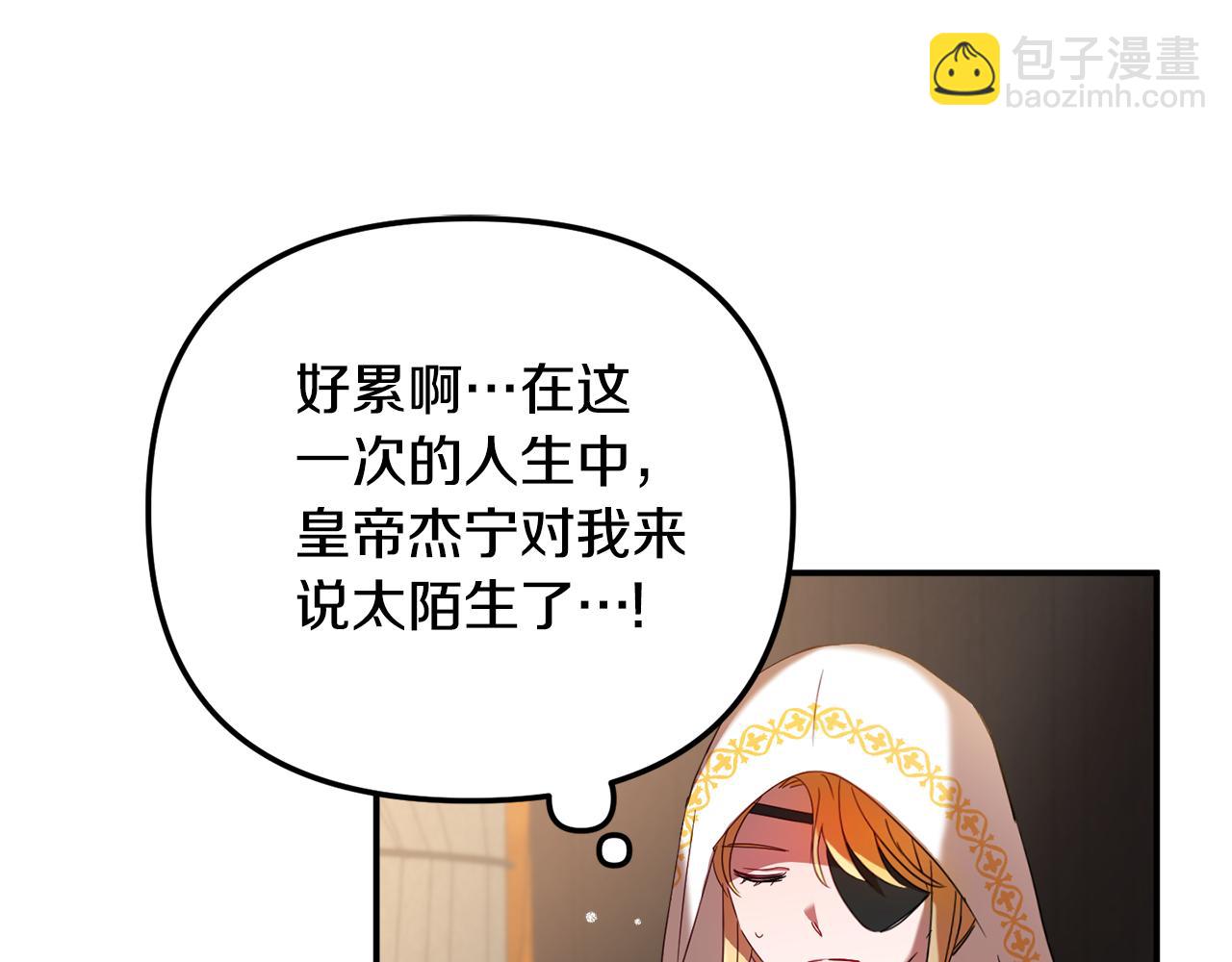 第33话 假扮113