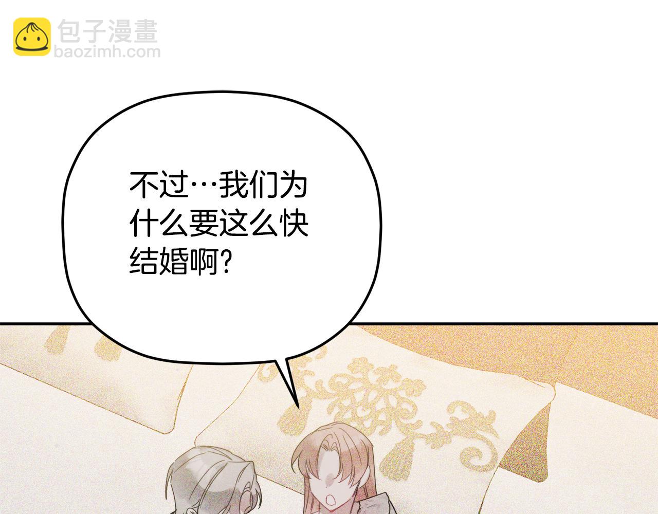 完结篇 幸福的生日87