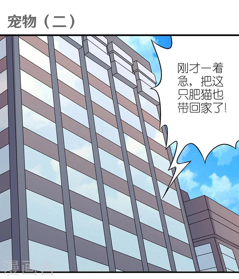 第382话 宠物20