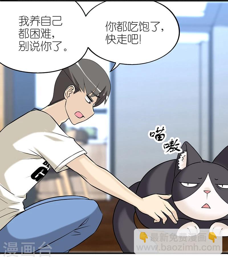 第382话 宠物21