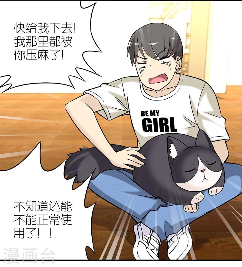 第382话 宠物211