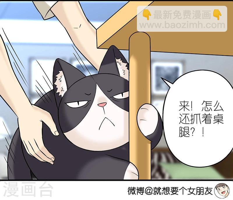 第382话 宠物22
