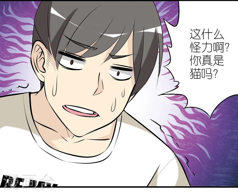 第382话 宠物24