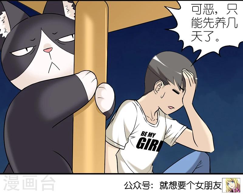 第382话 宠物25