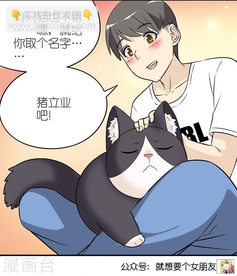 第382话 宠物29