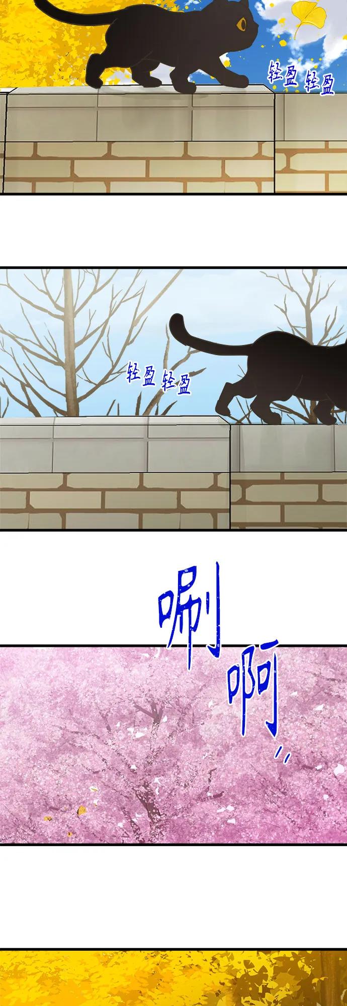 第204话34