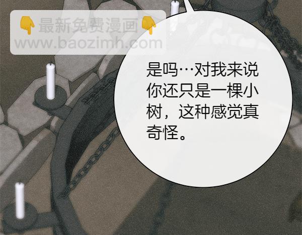 第105话 大家的祝福60