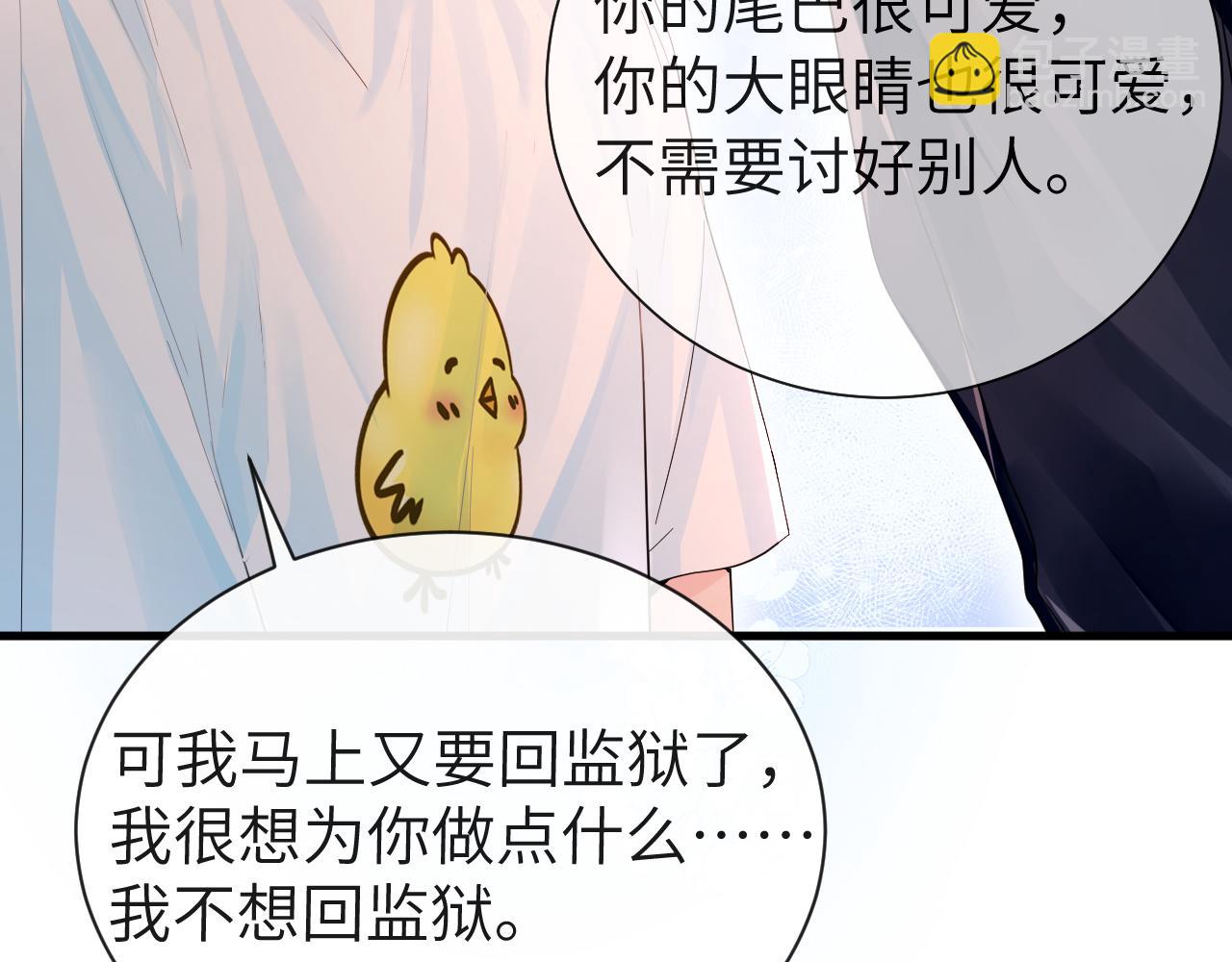 第41话 小猫咪，想我了吗？74