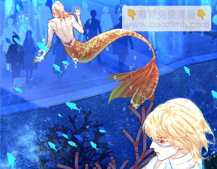 第1期 没更新的日子里兰波在做什么？（日更中）29