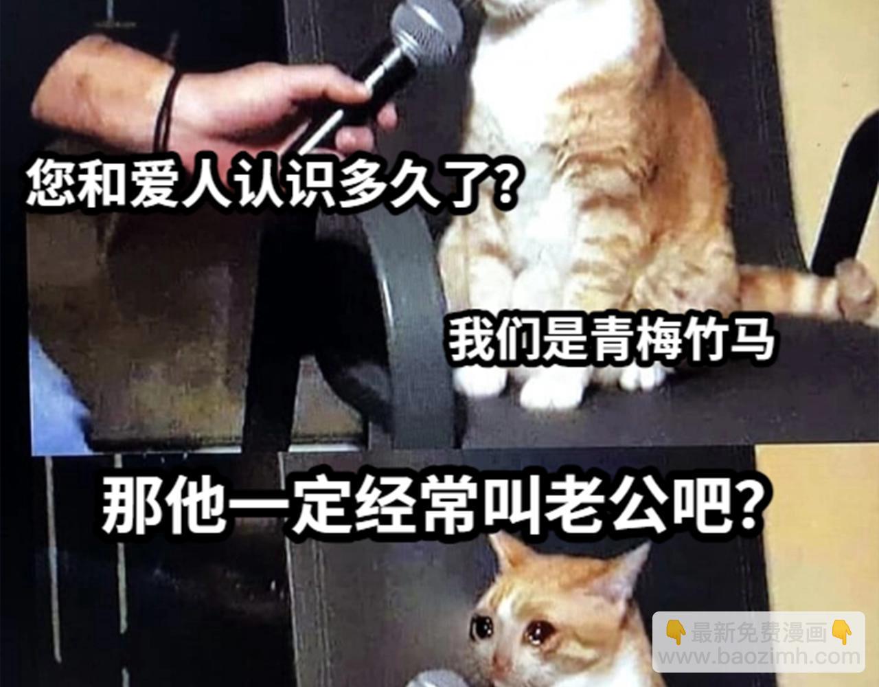第37期 人鱼主角们开启5G冲浪，烂梗合集（日更中）17