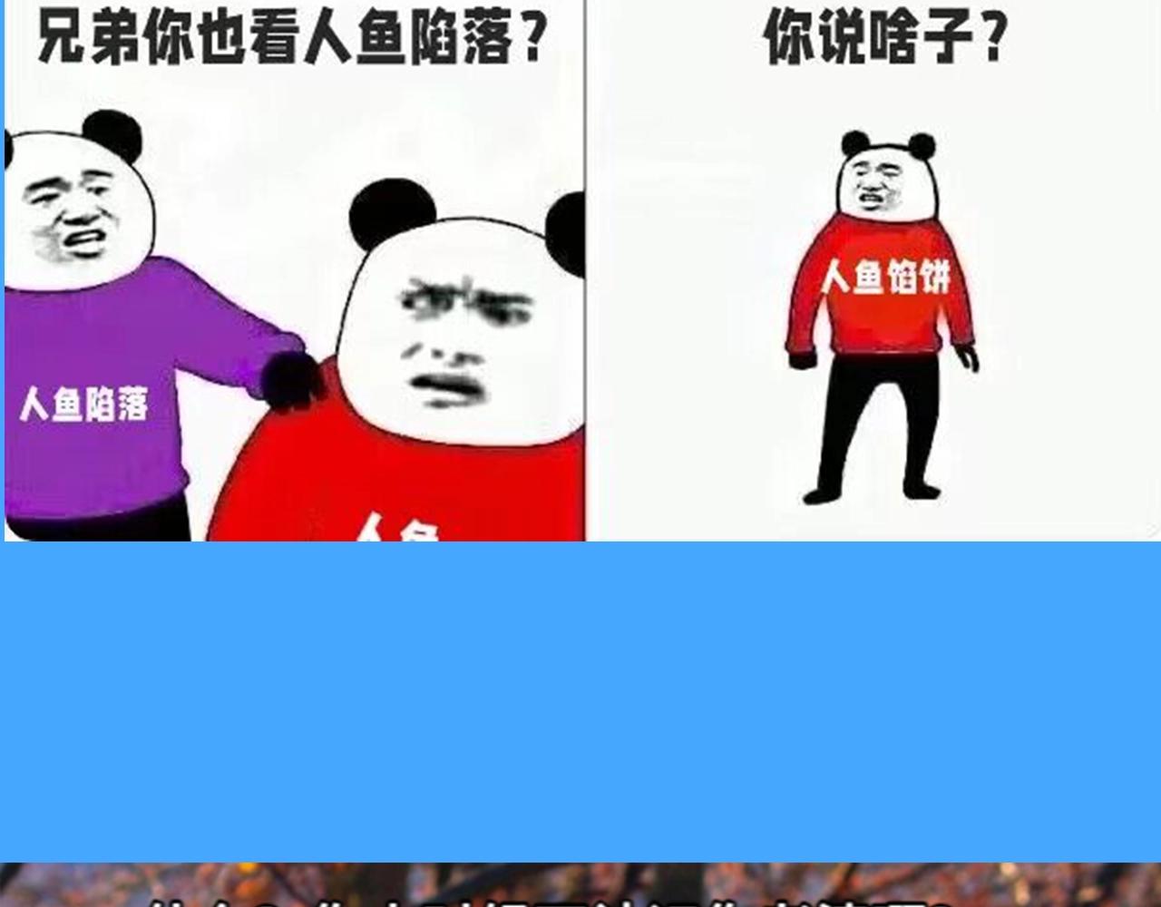 第41期 进来看看烂梗（日更中）3