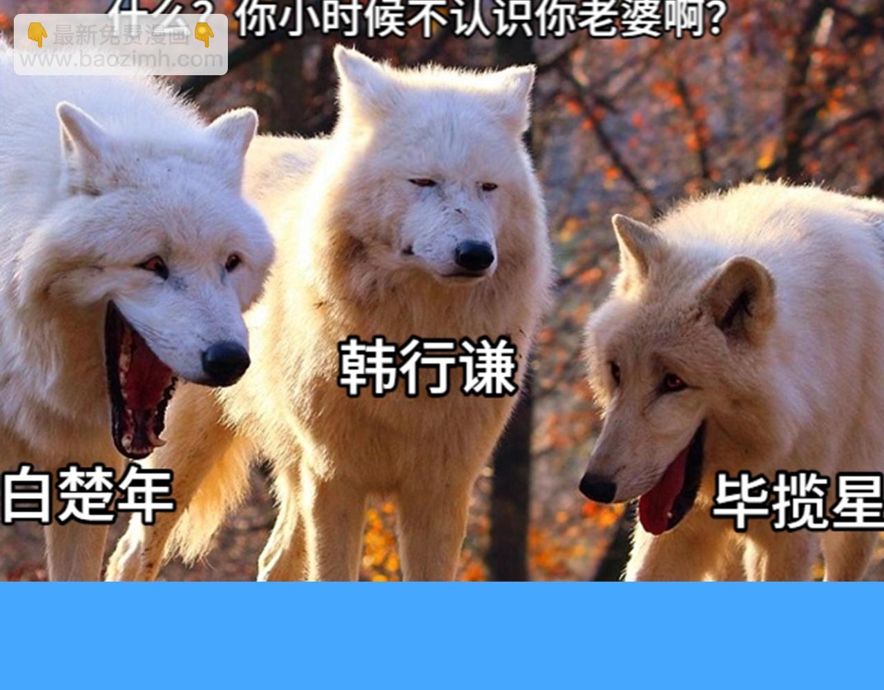 第41期 进来看看烂梗（日更中）4