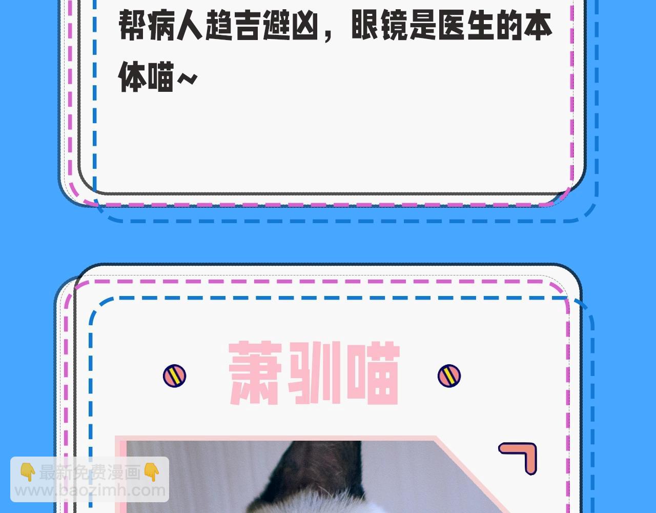 第43期 人鱼陷落的主角都是什么品种的猫（日更中）10