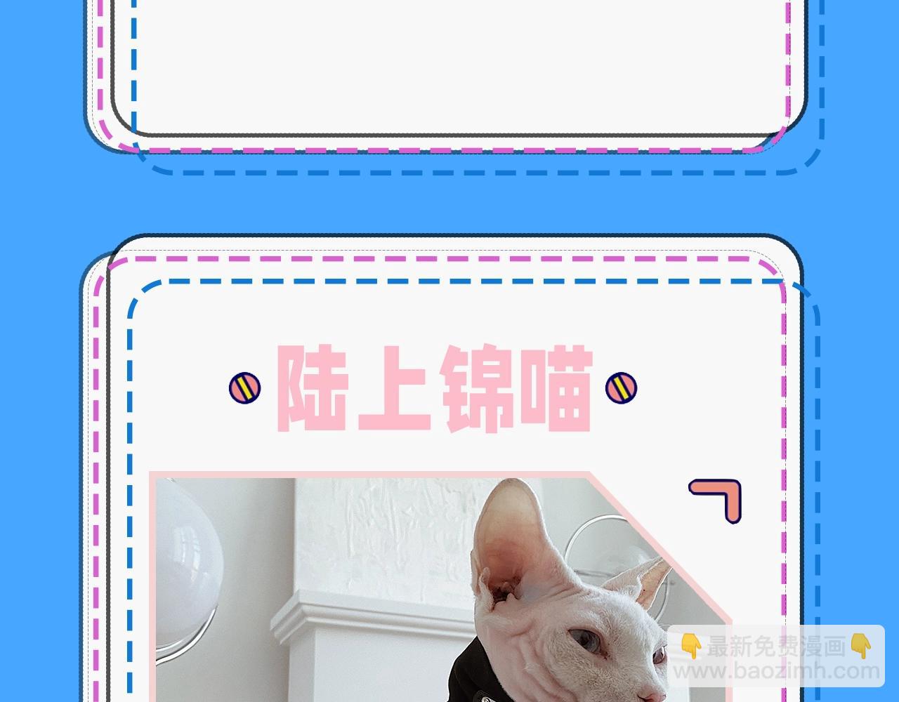 第43期 人鱼陷落的主角都是什么品种的猫（日更中）14