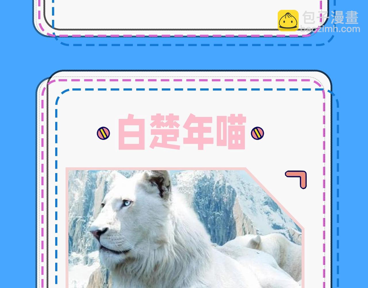 第43期 人鱼陷落的主角都是什么品种的猫（日更中）16