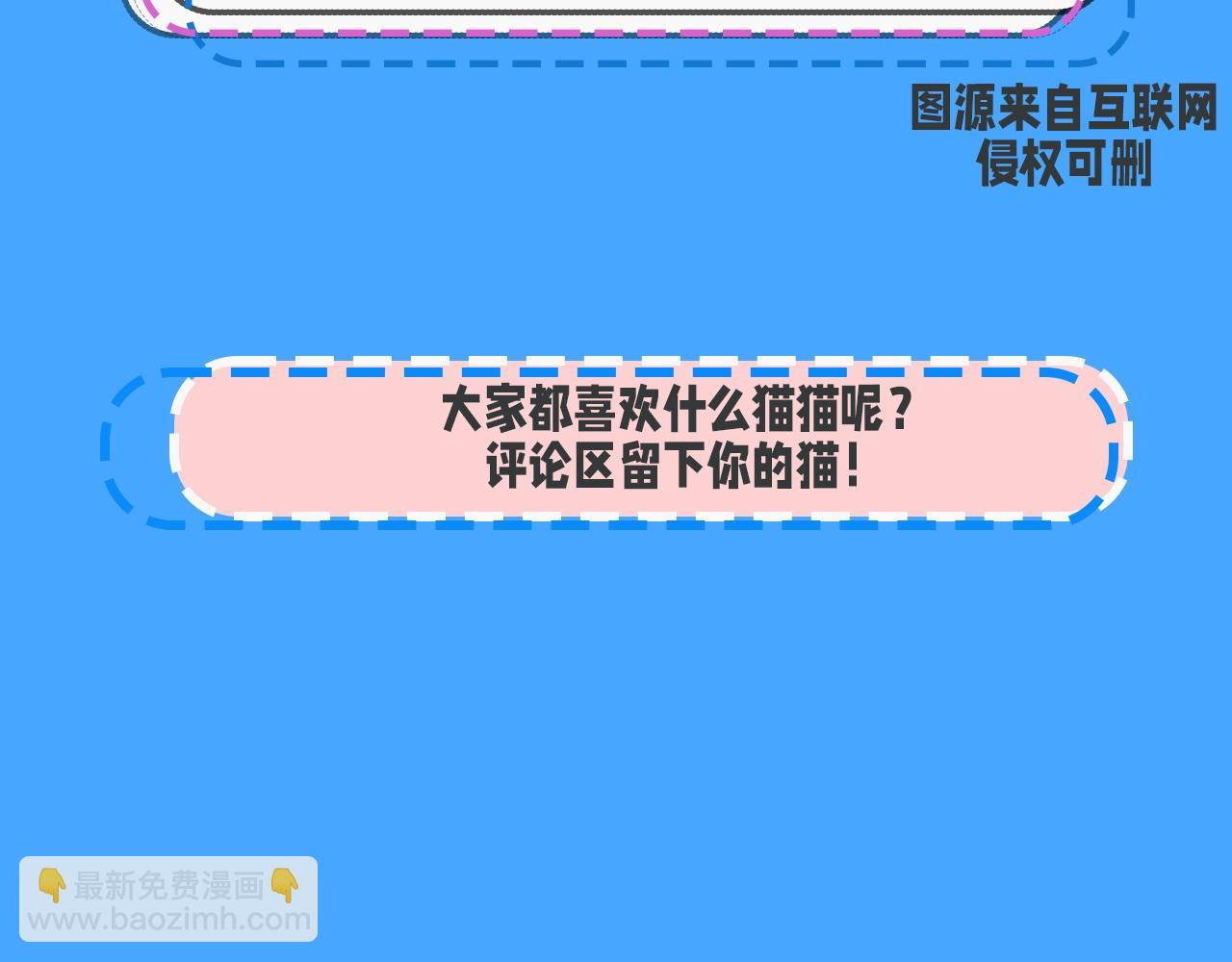 第43期 人鱼陷落的主角都是什么品种的猫（日更中）18