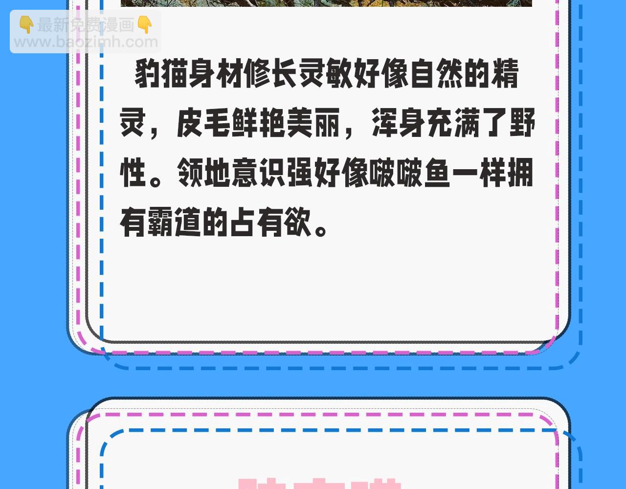 第43期 人鱼陷落的主角都是什么品种的猫（日更中）4