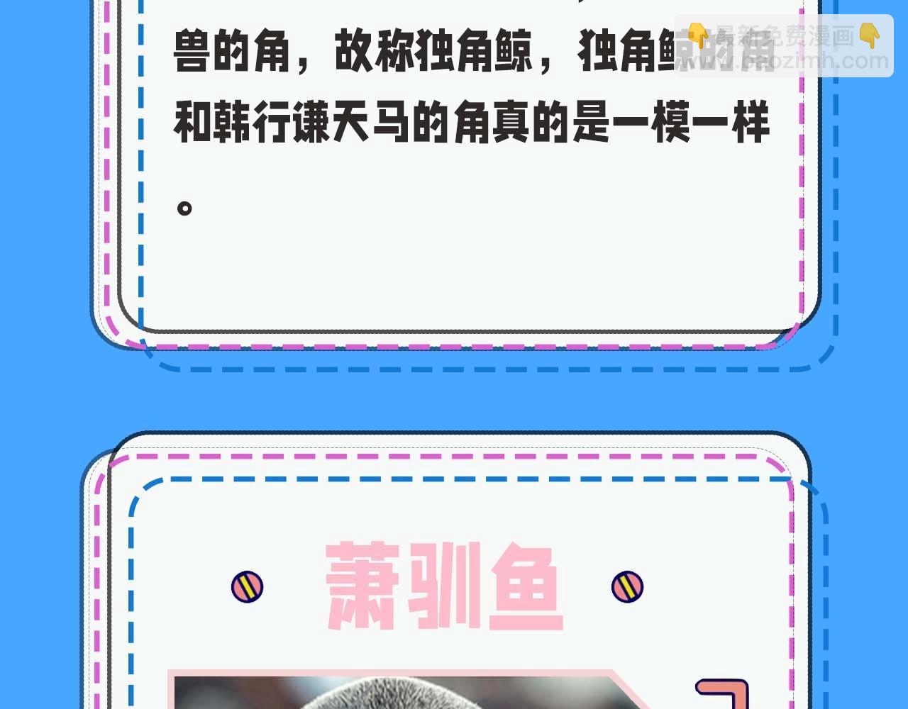 第52期 人鱼陷落的主角都是什么品种的鱼（日更中）10