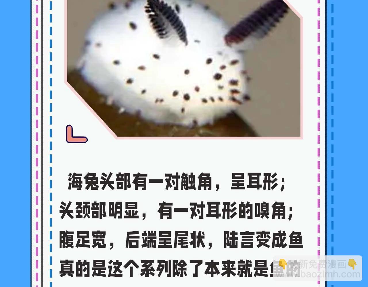 第52期 人鱼陷落的主角都是什么品种的鱼（日更中）13