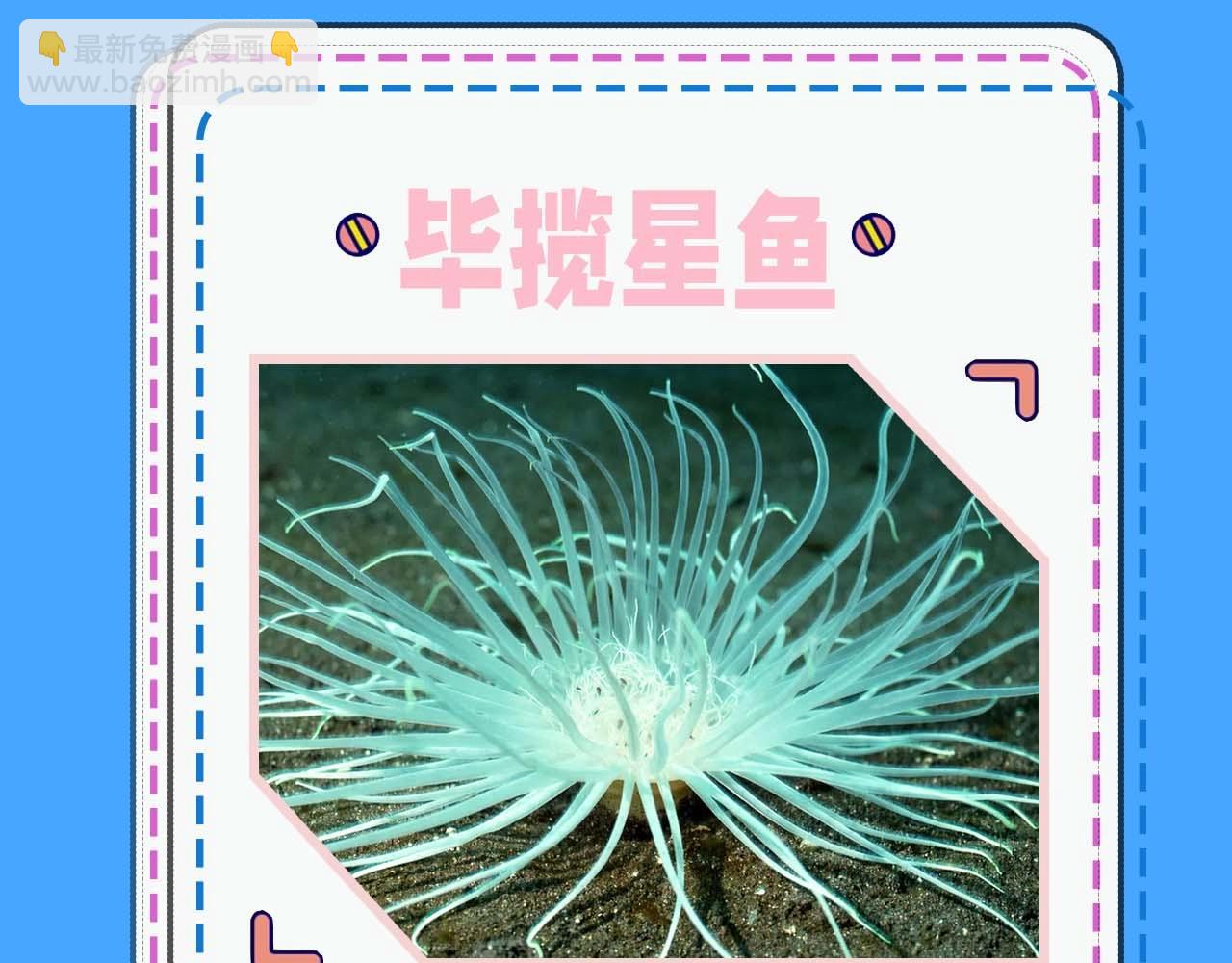 第52期 人鱼陷落的主角都是什么品种的鱼（日更中）15